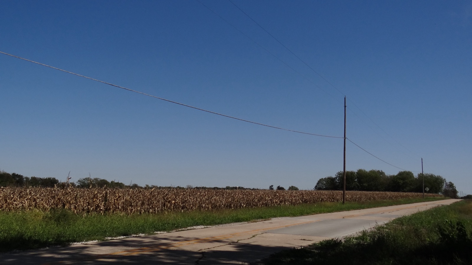 Old concrete two-lane road beside a field of dry, golden corn under a clear blue sky in central Illinois
